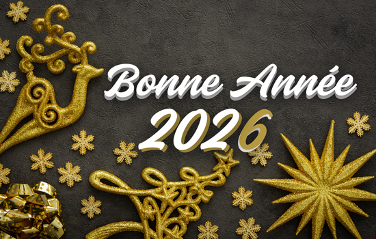 bonne année 