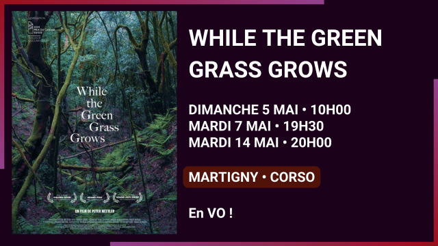 05.05 - martigny - while the green grass grows.png