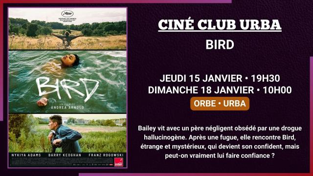 15_18.01 - CINE CLUB URBA - BIRD - SITE.jpg