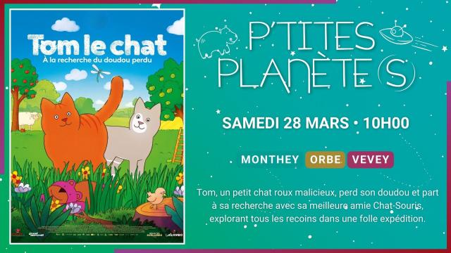 28.03 - PTITES PLANETES - TOM LE CHAT, À LA RECHERCHE DU DOUDOU PERDU - SITE.jpg