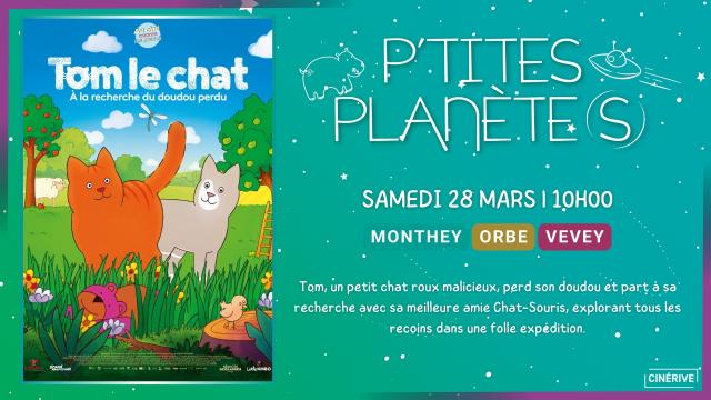 28.03 - PTITES PLANETES - TOM LE CHAT, À LA RECHERCHE DU DOUDOU PERDU - SITE.jpg