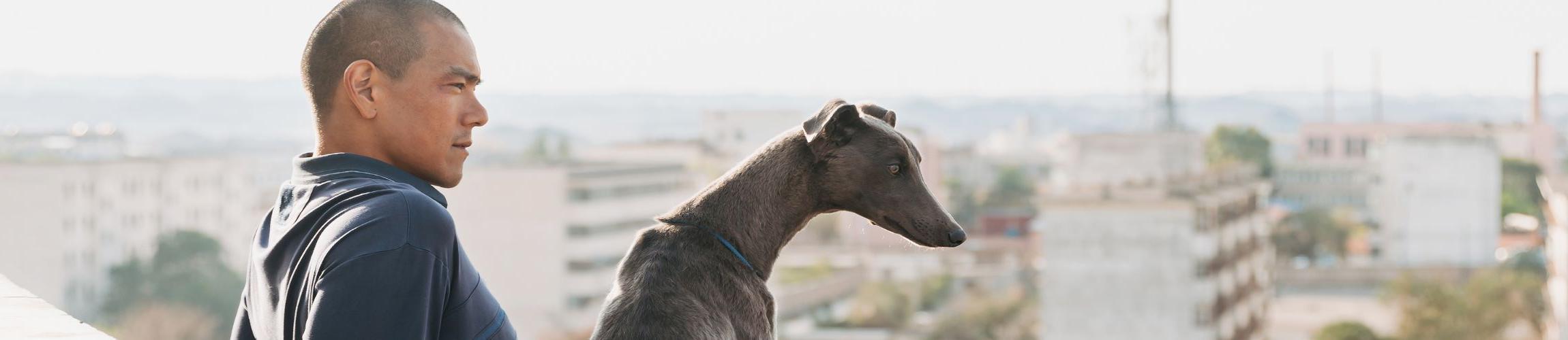 HEADER - BLACK DOG.jpg