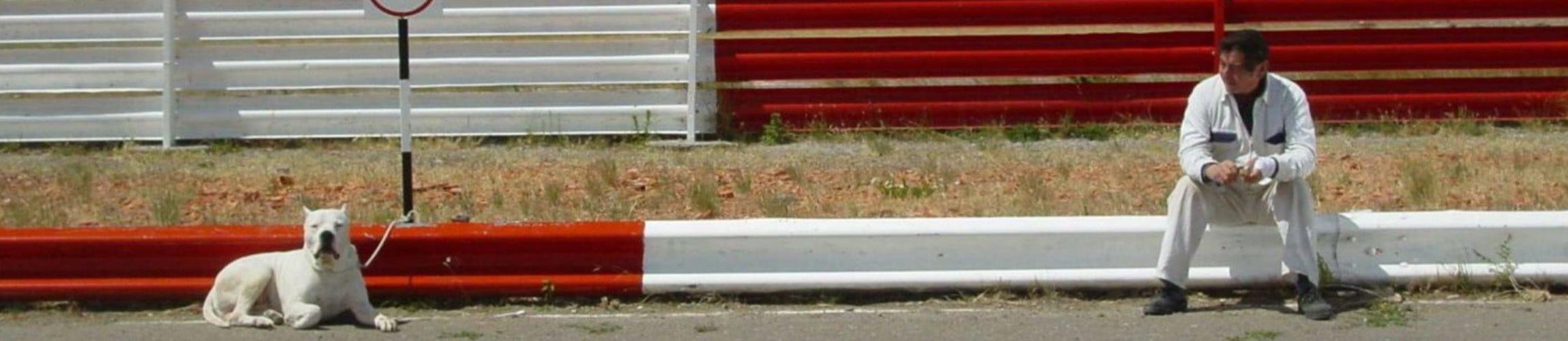 HEADER - BOMBON LE CHIEN.jpg