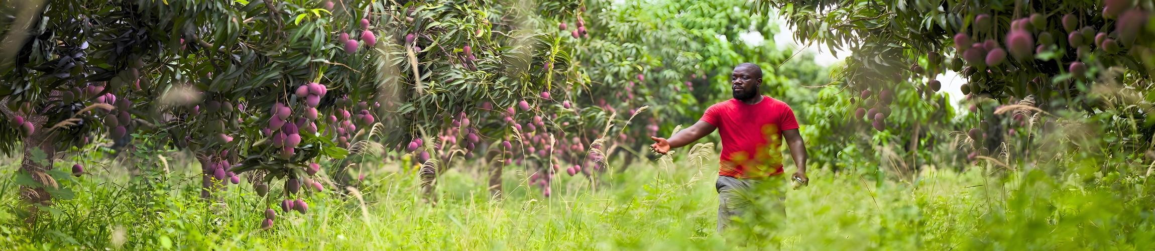 HEADER - THE NARRATIVE.jpg