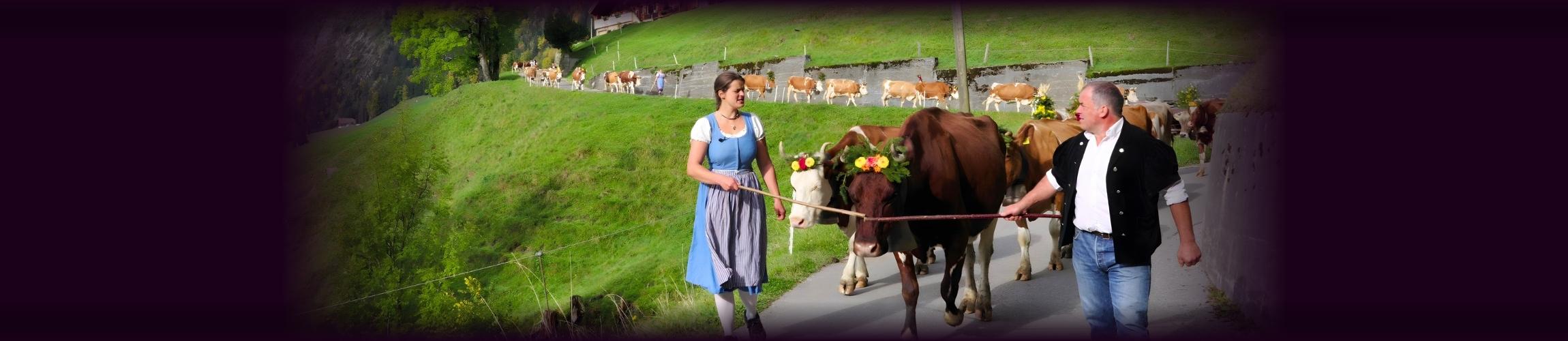 HEADER PA - AVANT-PREMIERE - ÊTRE PAYSAN.NE_.jpg