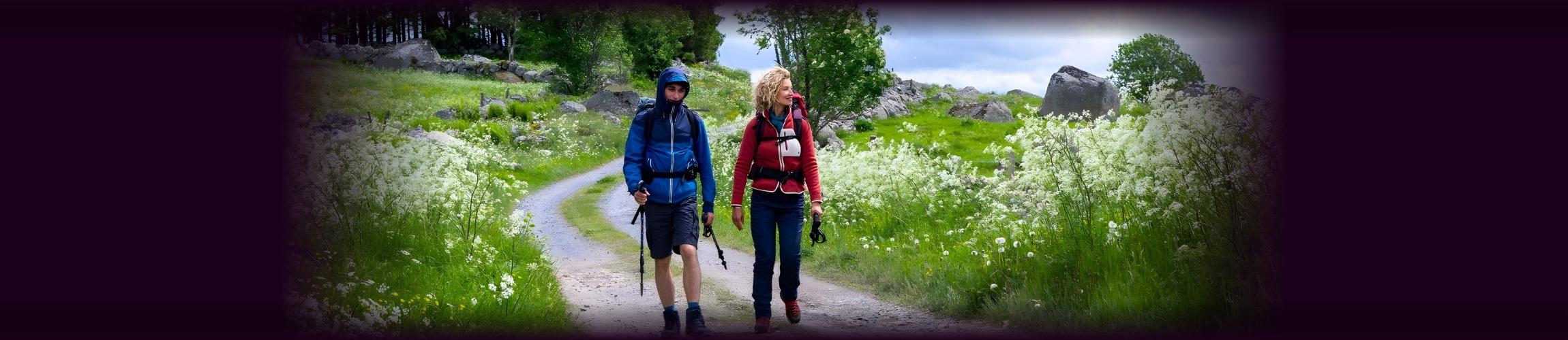 HEADER PA - CINE RESTO.jpg