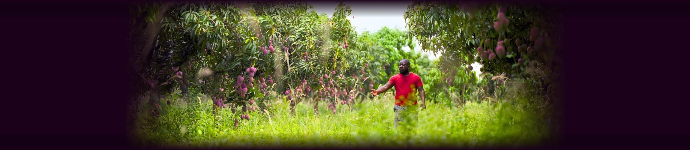 HEADER PA - THE NARRATIVE.jpg