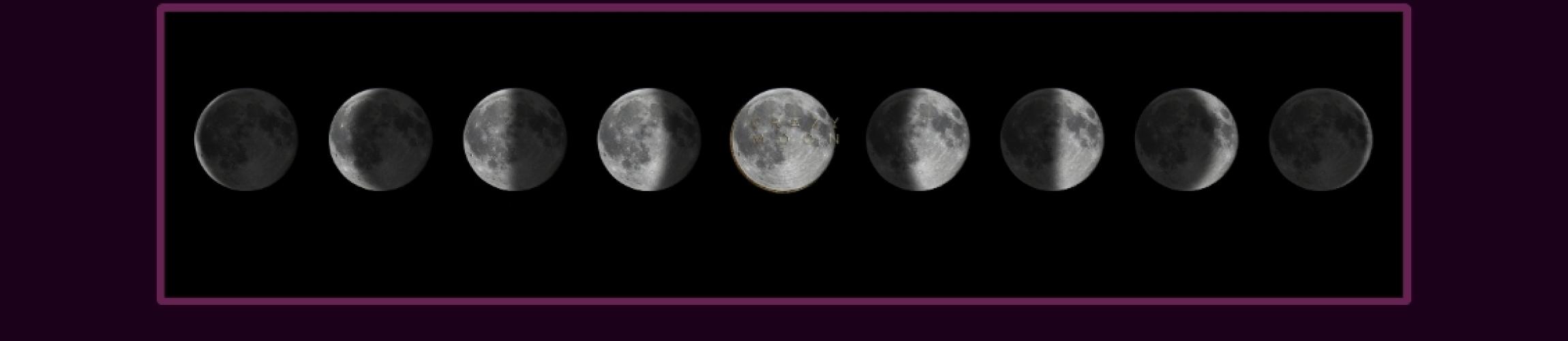 BANNERTT - CRAZY MOON.jpg