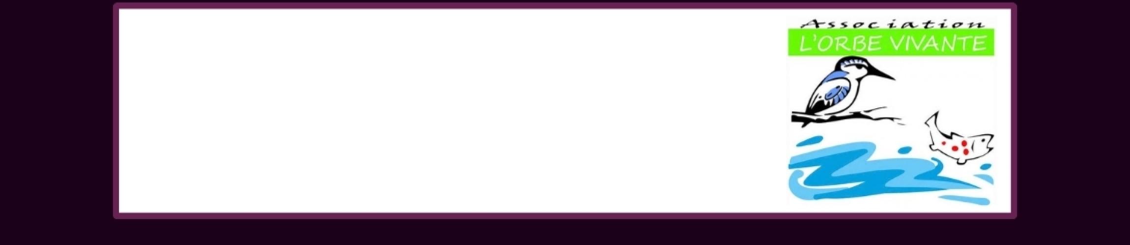 BANNERTT - L'ORBE VIVANTE.jpg