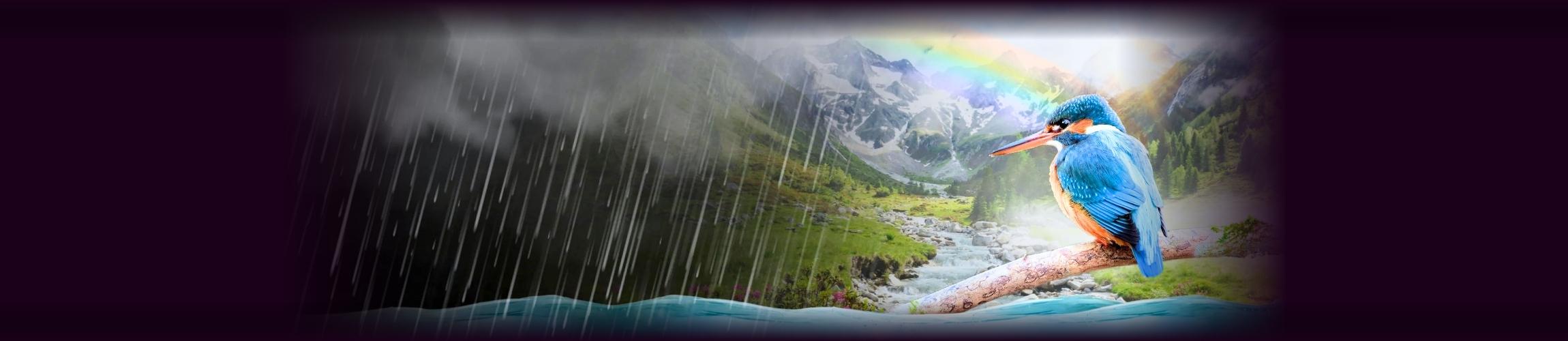 HEADER PA - RAINDROP.jpg
