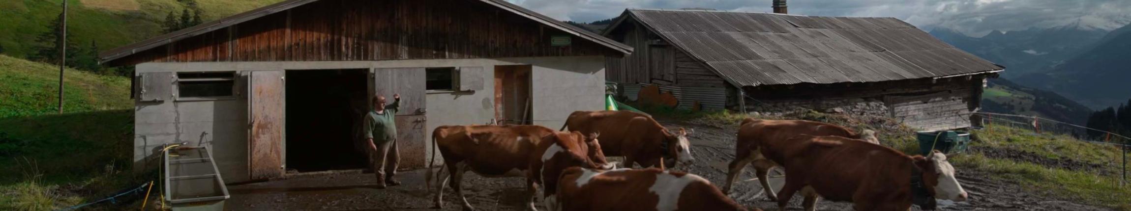 HEADER - COLOSTRUM.jpg