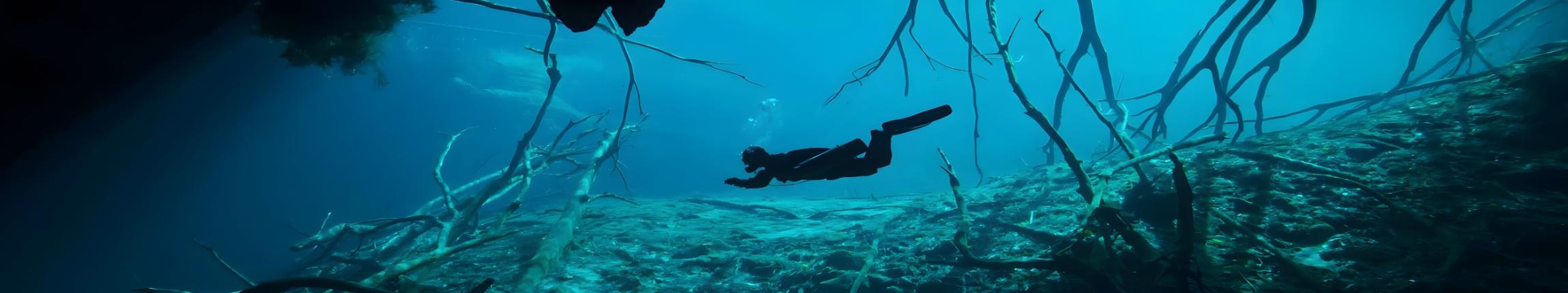 HEADER - FÊTE DE LA NATURE.jpg