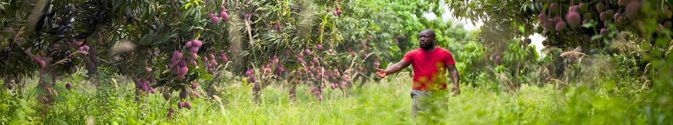 HEADER - THE NARRATIVE.jpg