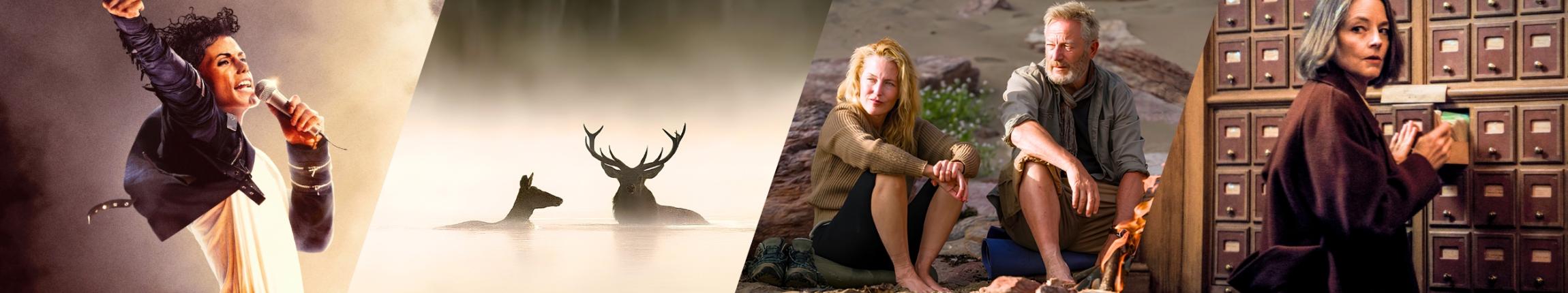 HEADER - FILMS ÉTÉ.jpg