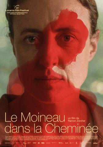 le moineau dans la cheminée.jpg