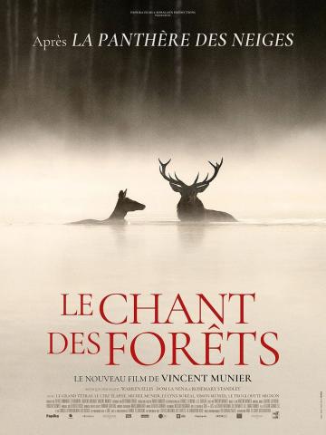 LE CHANT DES FORÊTS