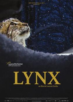LYNX