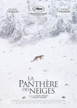 LA PANTHERE DES NEIGES