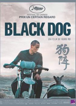 BLACK DOG