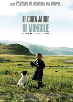 LE CHIEN JAUNE DE MONGOLIE