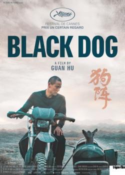 BlackDog.jpeg