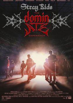 STRAY KIDS - THE DOMINATE EXPERIENCE.jpg